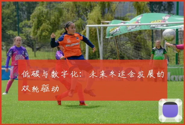 低碳与数字化：未来冬运会发展的双轮驱动
