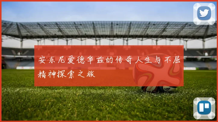 安东尼爱德华兹的传奇人生与不屈精神探索之旅