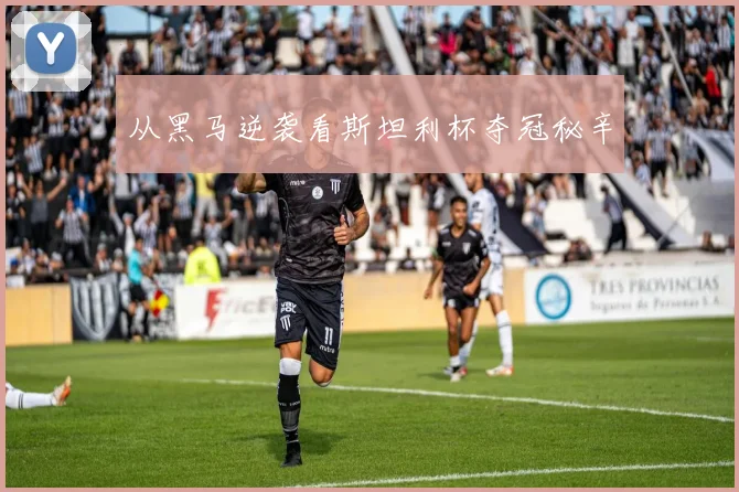 从黑马逆袭看斯坦利杯夺冠秘辛