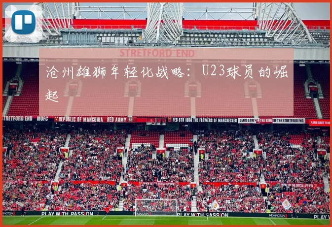 沧州雄狮年轻化战略：U23球员的崛起