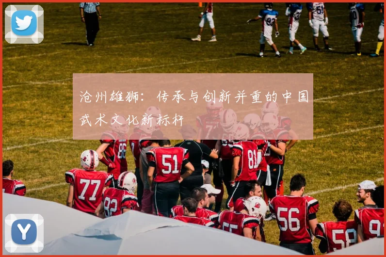 沧州雄狮：传承与创新并重的中国武术文化新标杆