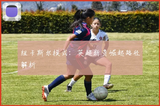 纽卡斯尔模式：英超新贵崛起路径解析