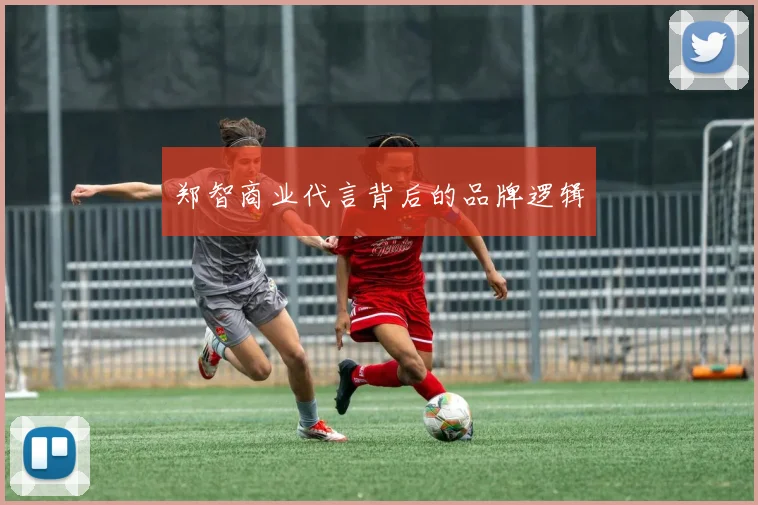 郑智商业代言背后的品牌逻辑