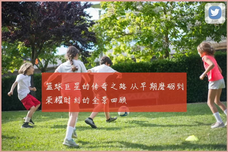 篮球巨星的传奇之路 从早期磨砺到荣耀时刻的全景回顾