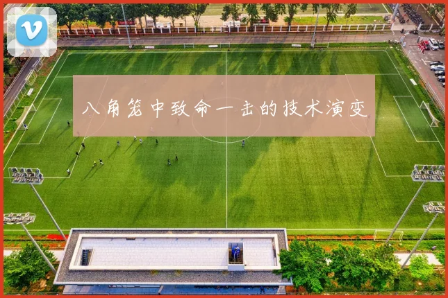 八角笼中致命一击的技术演变
